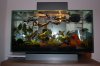 Fluval Edge mit Pflanzen_2.jpg