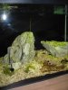 IMG_0140.JPG
