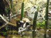 2009.12.06. 003.jpg