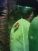 DSC00016.JPG