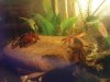 DSC00020.JPG