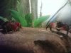 DSC00022.JPG