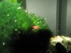 k-IMG_0357.jpg