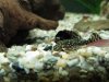 k-IMG_0385.jpg