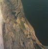 DSC00018.JPG