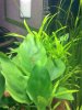 20122009604.jpg