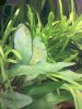20122009606.jpg