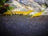 DSCN3821.JPG