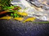 DSCN3843.JPG