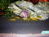 DSCN3847.JPG