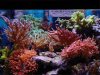 DSC00026.JPG