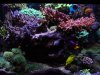 DSC00110.JPG