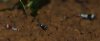 DSC_0363 (620 x 259).jpg