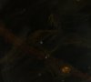 DSC05551_2.jpg