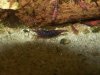 100_3077.JPG