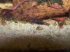 100_3078.JPG