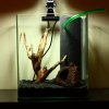 Aquarium_001.JPG