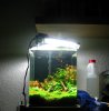 cube20l.jpg