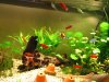 AQUARIUM 206.jpg