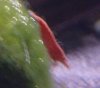 Aquarium 013.JPG