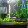 CIMG0342.gif