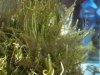 DSC00906.JPG