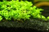 Aquarium_005.JPG