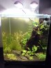 60 Liter 4.jpg
