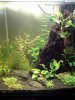 60 Liter 2.jpg
