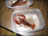 comp_IMG_5014.jpg