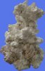 Riffpfeiler-aus-Riffkeramik-ca-30cm.jpg