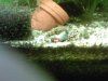 Foto0273.jpg