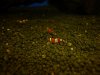 P1000101 - Kopie.JPG