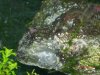 DSCN3383.JPG