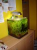 DSC01999.jpg