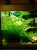 DSC00928.JPG