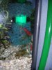 DSCN2248.JPG