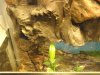2010.01.16..001.jpg
