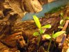2010.01.16..002.jpg