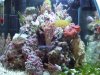 DSCF6873.jpg