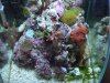 DSCF6874.jpg