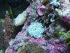 DSCF6861.jpg