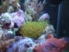 DSCF6863.jpg
