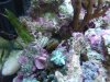 DSCF6866.jpg