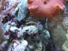 DSCF6867.jpg