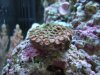 DSCF6871.jpg