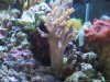 DSCF6869.jpg