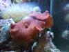 DSCF6870.jpg