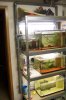 100_7518.JPG
