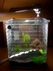Foto_nano_cube.jpg